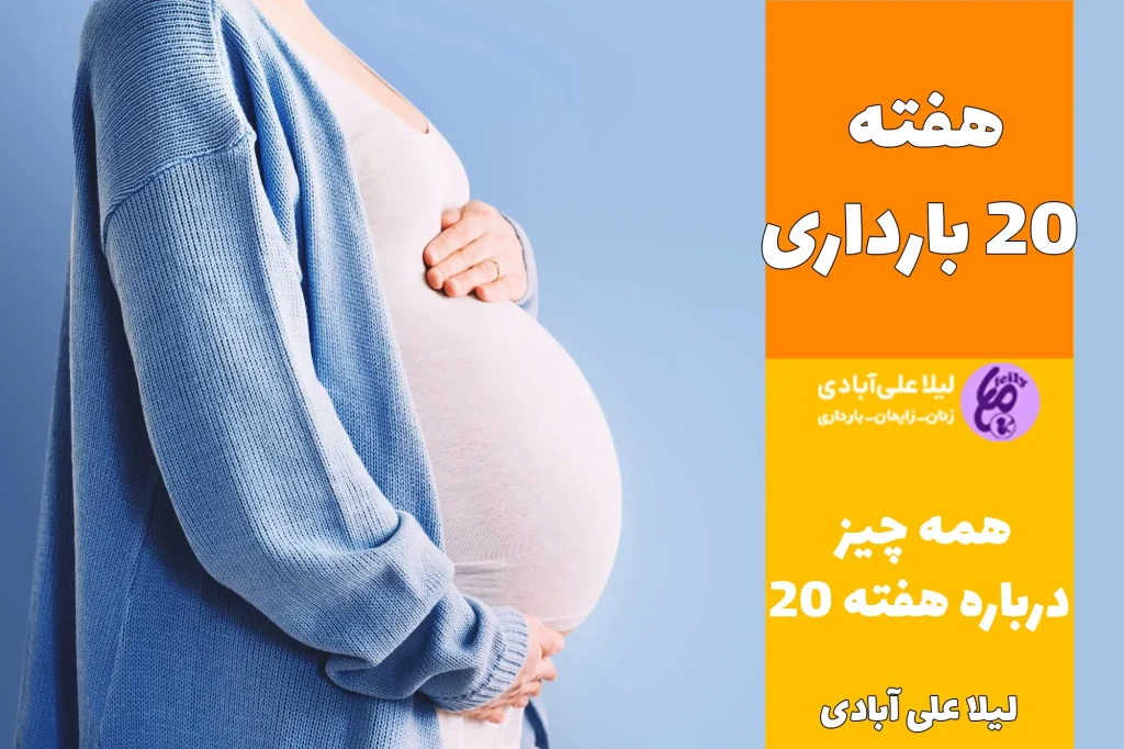 هفته ۲۰ بارداری