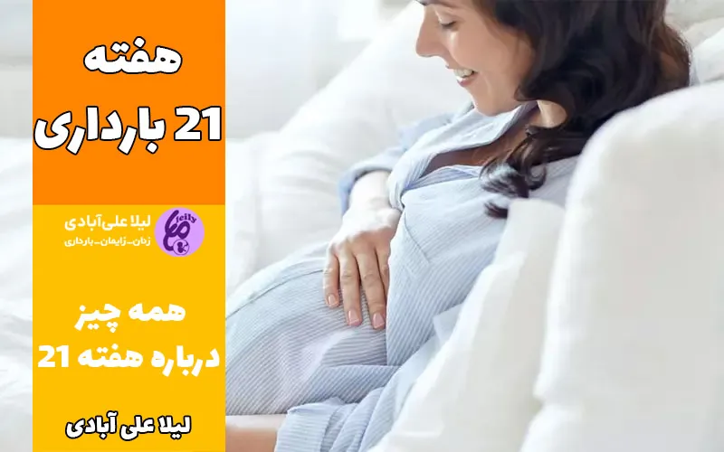 هفته ۲۱ بارداری