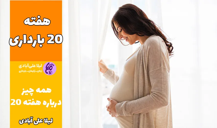 هفته ۲۰ بارداری