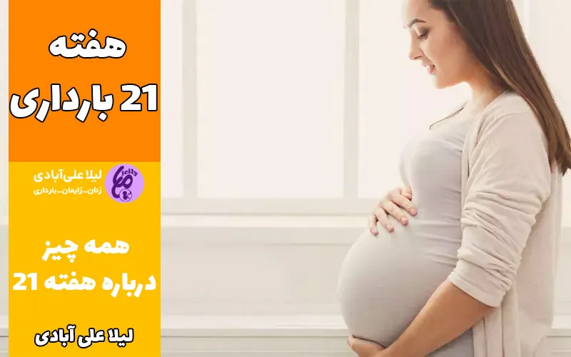 هفته ۲۱ بارداری