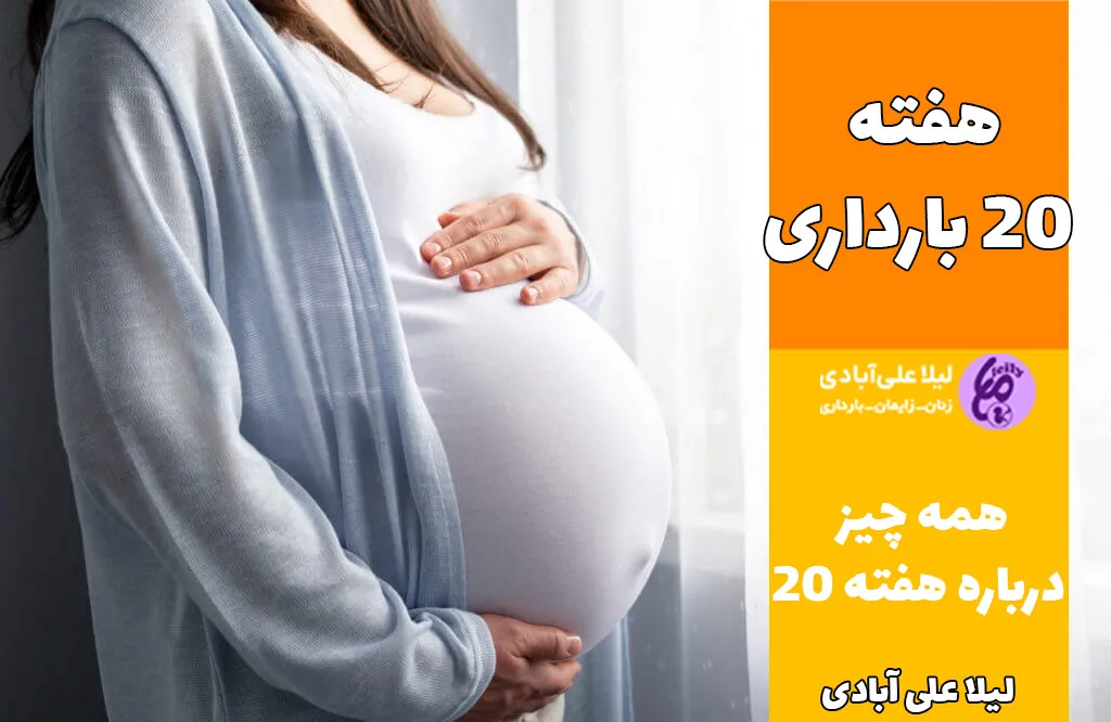 هفته ۲۰ بارداری