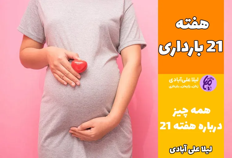 هفته ۲۱ بارداری