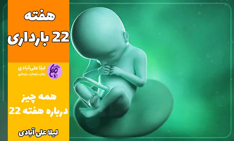 هفته ۲۲ بارداری