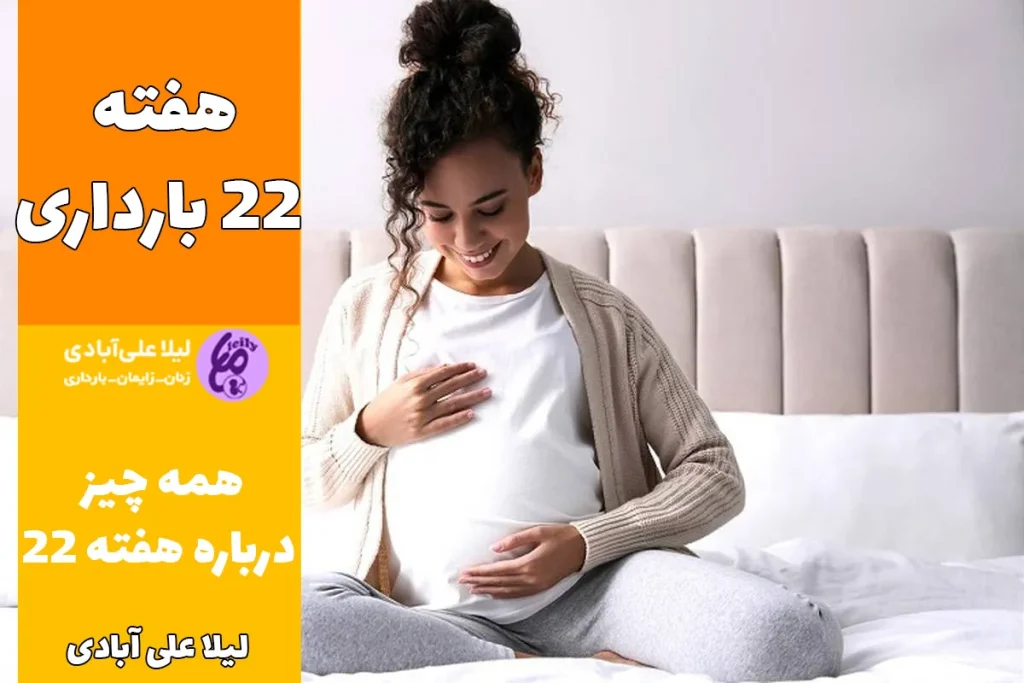 هفته ۲۲ بارداری