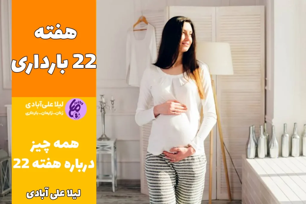 هفته ۲۲ بارداری