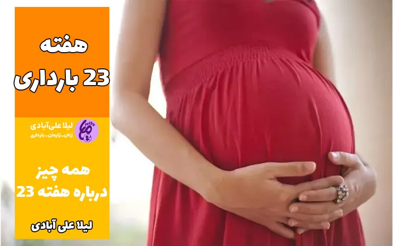هفته ۲۳ بارداری