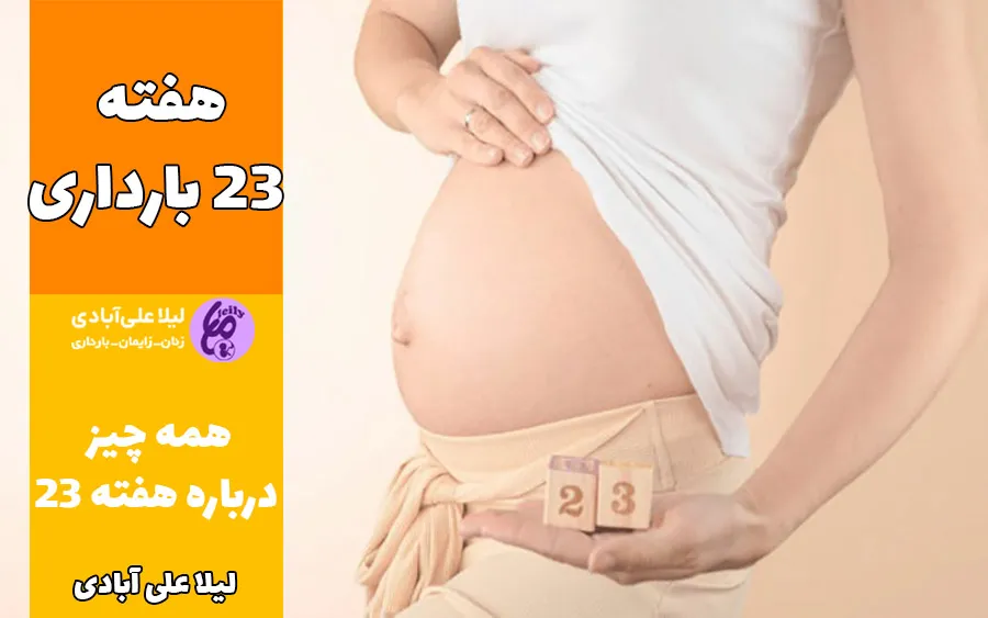 تصویر جنین در هفته ۲۳ بارداری