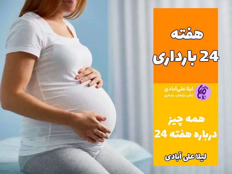 هفته ۲۴ بارداری