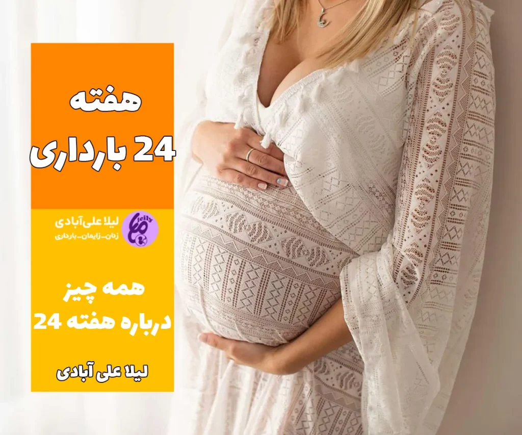 هفته ۲۴ بارداری