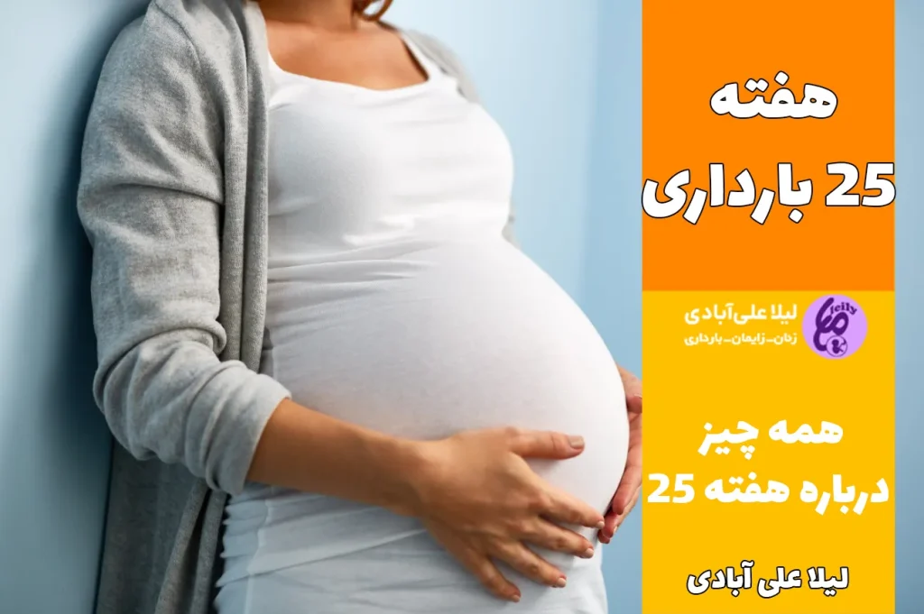 هفته ۲۵ بارداری
