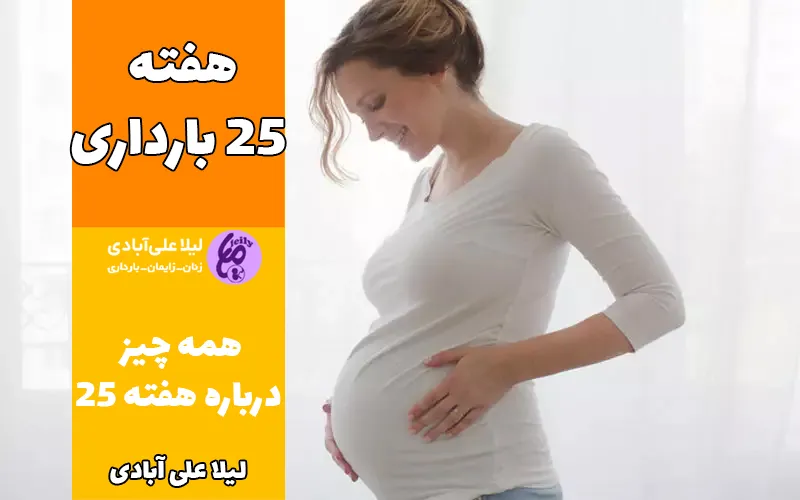 هفته ۲۵ بارداری
