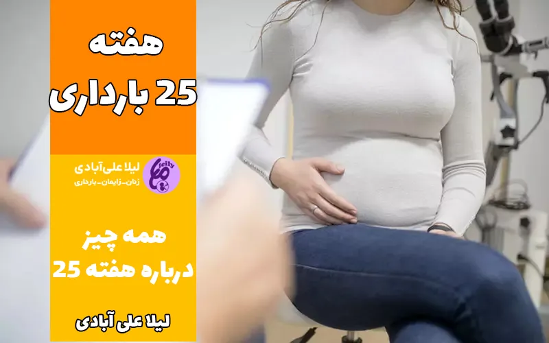 هفته ۲۵ بارداری