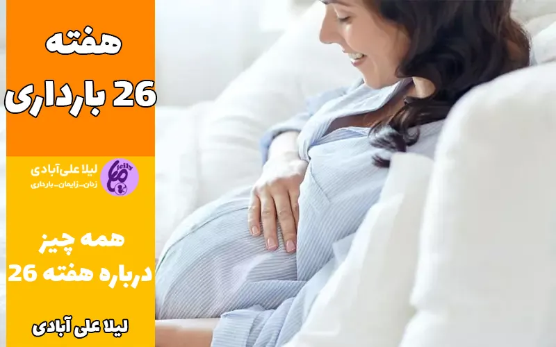 هفته ۲۶ بارداری