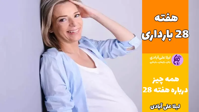 هفته ۲۸ بارداری