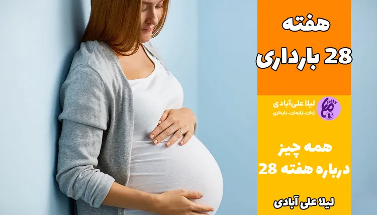 هفته ۲۸ بارداری