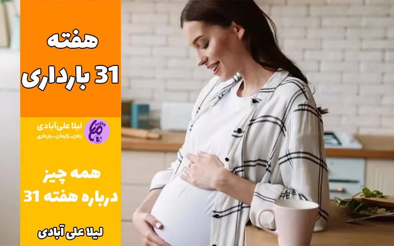هفته ۳۱ بارداری