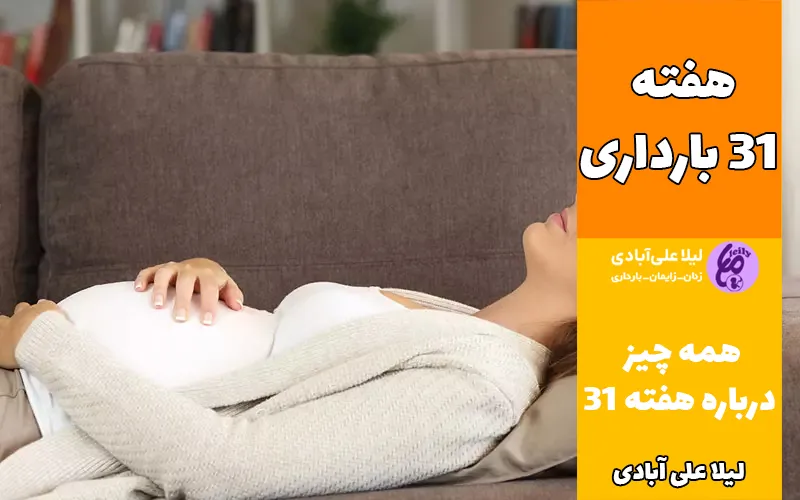 هفته ۳۱ بارداری