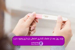 چند روز بعد از تخمک گذاری احتمال بارداری وجود دارد
