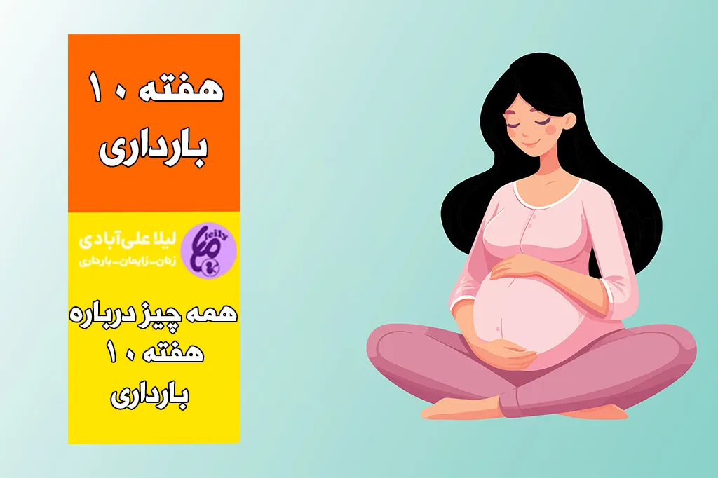 هفته دهم بارداریهفته دهم بارداری