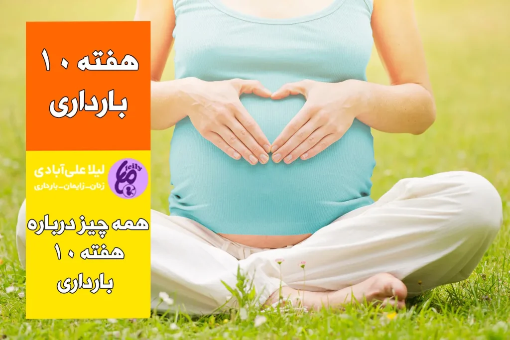 هفته دهم بارداری