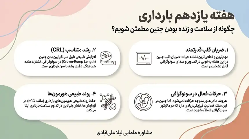 میوه های هفته یازدهم بارداری+علائم زنده بودن جنین در هفته یازدهم