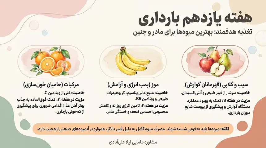 میوه های هفته یازدهم بارداری+علائم زنده بودن جنین در هفته یازدهم