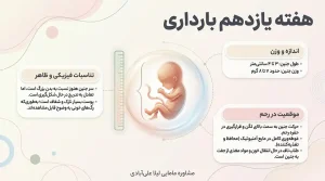 میوه های هفته یازدهم بارداری+علائم زنده بودن جنین در هفته یازدهم