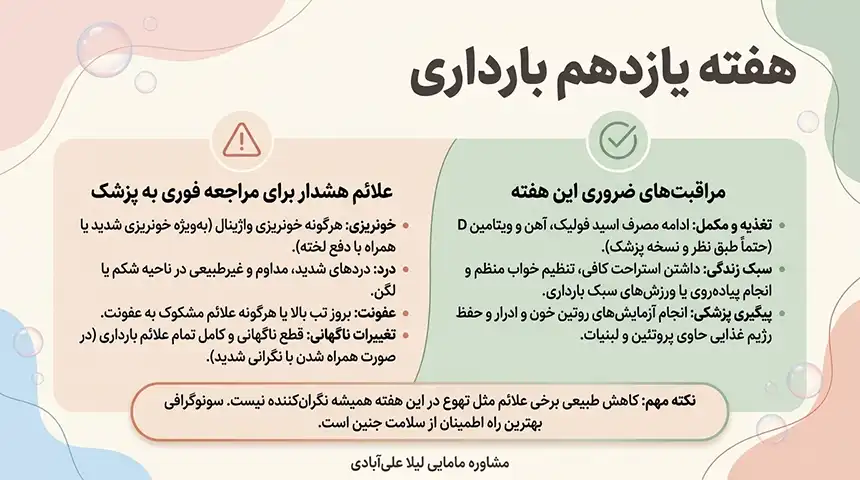 میوه های هفته یازدهم بارداری+علائم زنده بودن جنین در هفته یازدهم