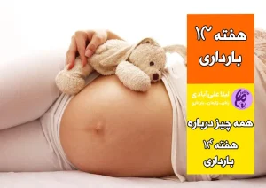 هفته سیزدهم بارداری