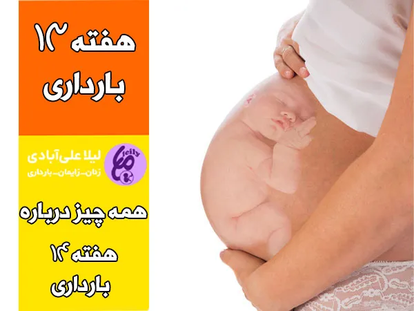 هفته سیزدهم بارداری