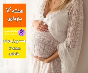هفته چهاردهم بارداری