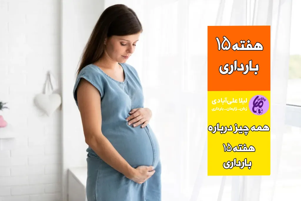 هفته پانزدهم بارداری
