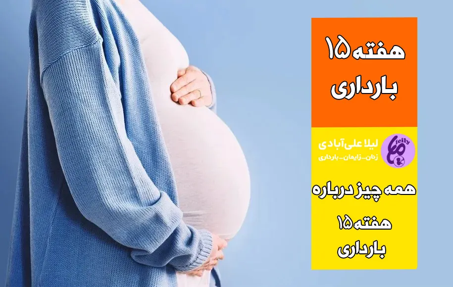 هفته پانزدهم بارداری