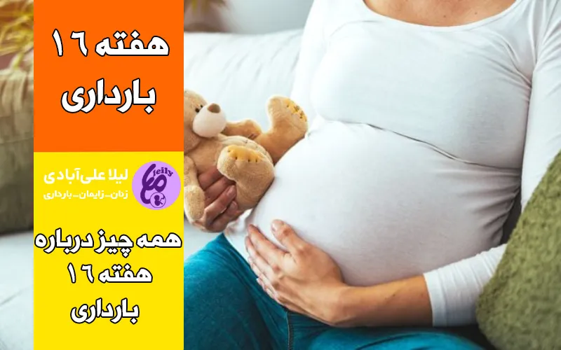 علائم جنین پسر در هفته شانزدهم بارداری