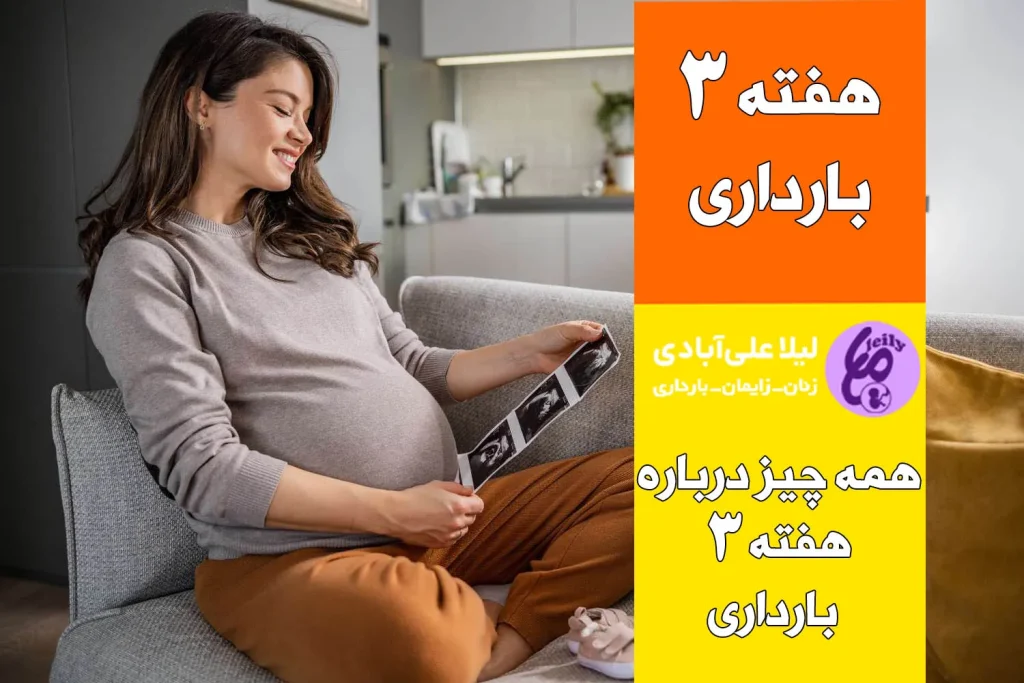 هفته سوم بارداری