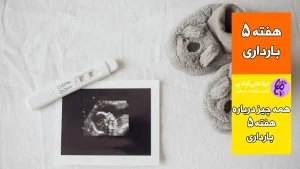هفته پنجم بارداری