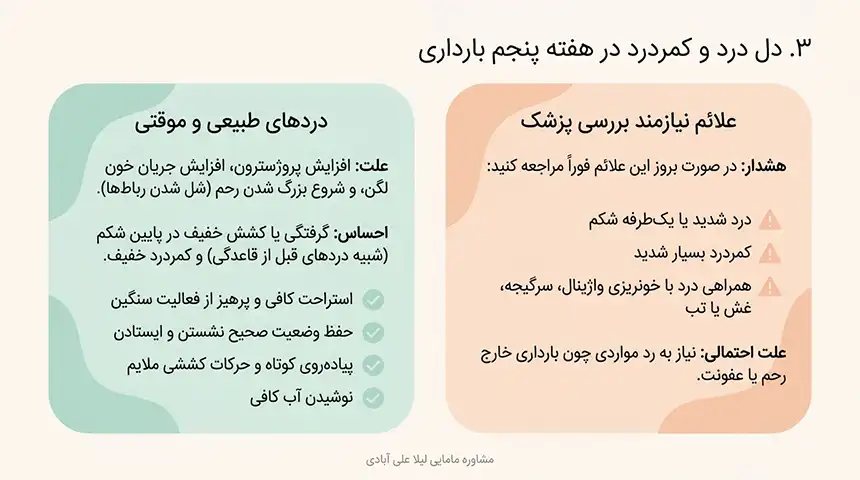 جنین در هفته پنجم در کجای شکم قرار دارد+هفته پنجم بارداری+دل درد و کمردرد در هفته پنجم بارداری
