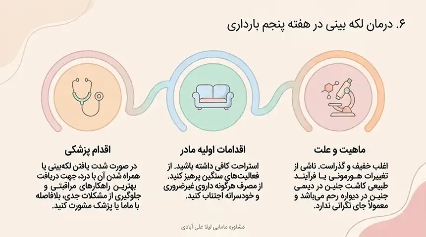 جنین در هفته پنجم در کجای شکم قرار دارد+هفته پنجم بارداری+دل درد و کمردرد در هفته پنجم بارداری