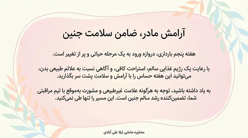 جنین در هفته پنجم در کجای شکم قرار دارد+هفته پنجم بارداری+دل درد و کمردرد در هفته پنجم بارداری
