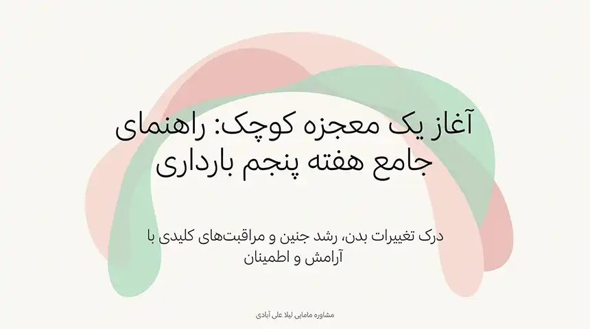 جنین در هفته پنجم در کجای شکم قرار دارد+هفته پنجم بارداری+دل درد و کمردرد در هفته پنجم بارداری