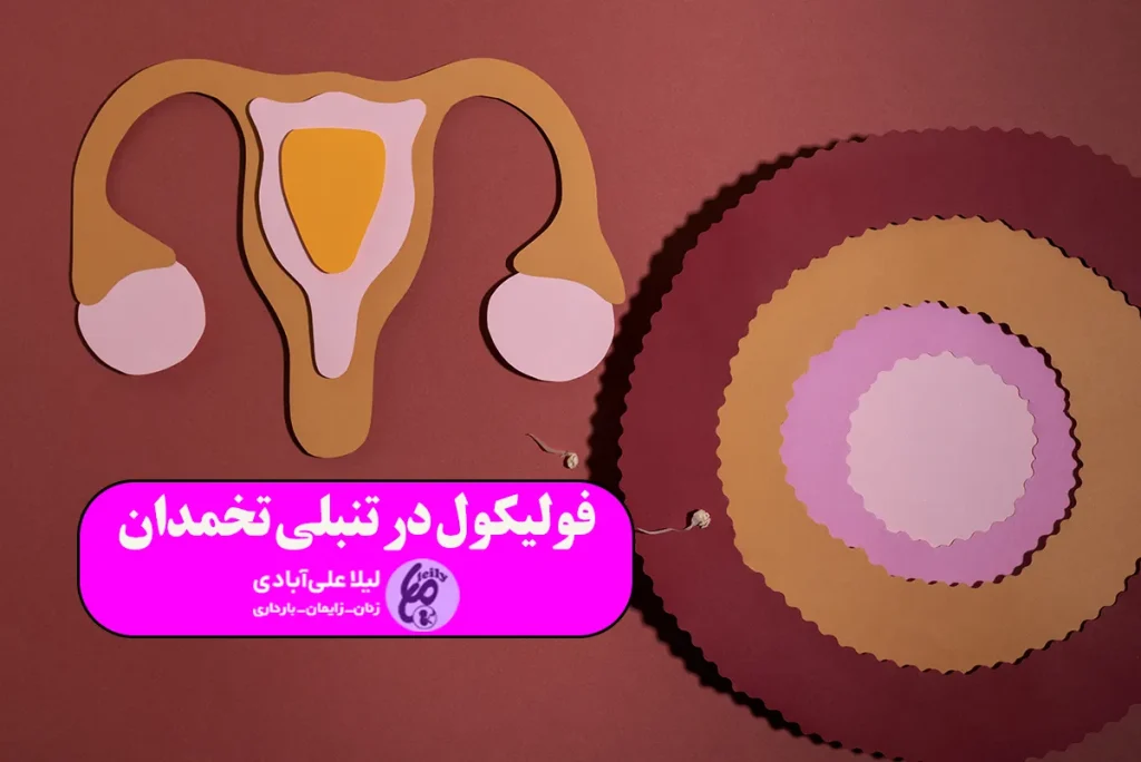 اندازه فولیکول در تنبلی تخمدان