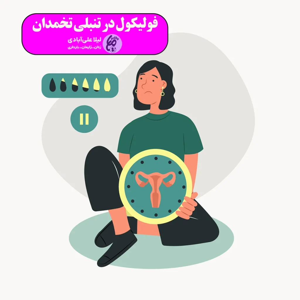 اندازه فولیکول در تنبلی تخمدان