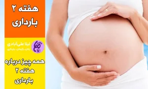 هفته دوم بارداری