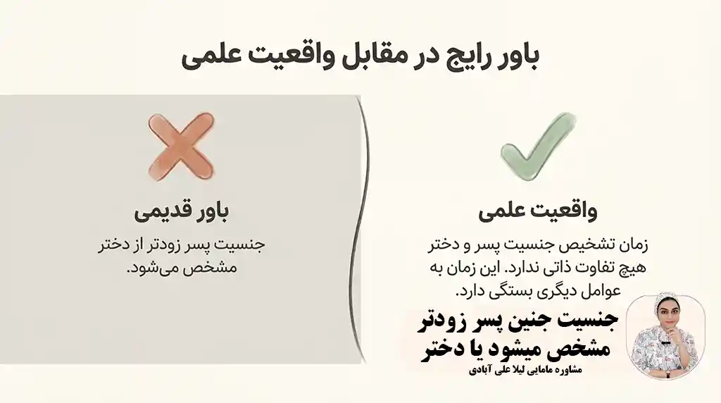 جنسیت جنین پسر زودتر مشخص میشود یا دختر