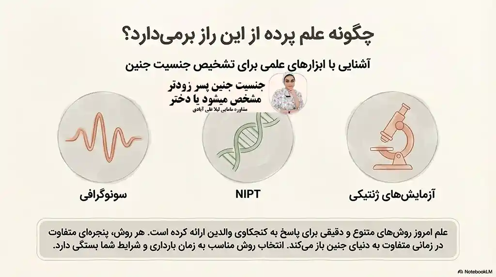 جنسیت جنین پسر زودتر مشخص میشود یا دختر
