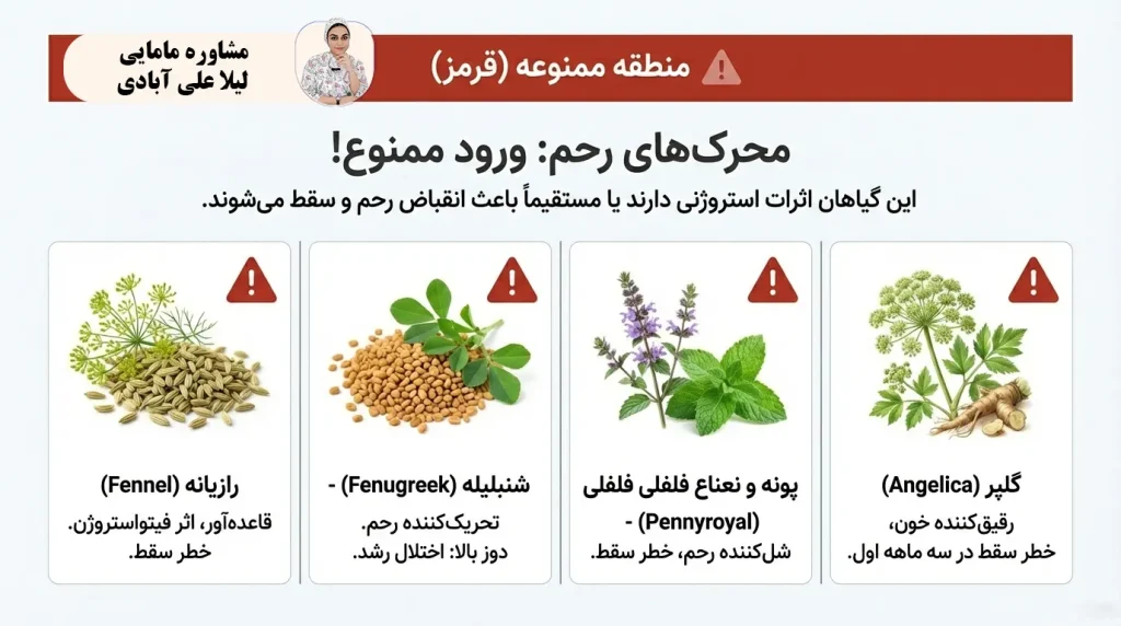 ادویه های ممنوعه در دوران بارداری