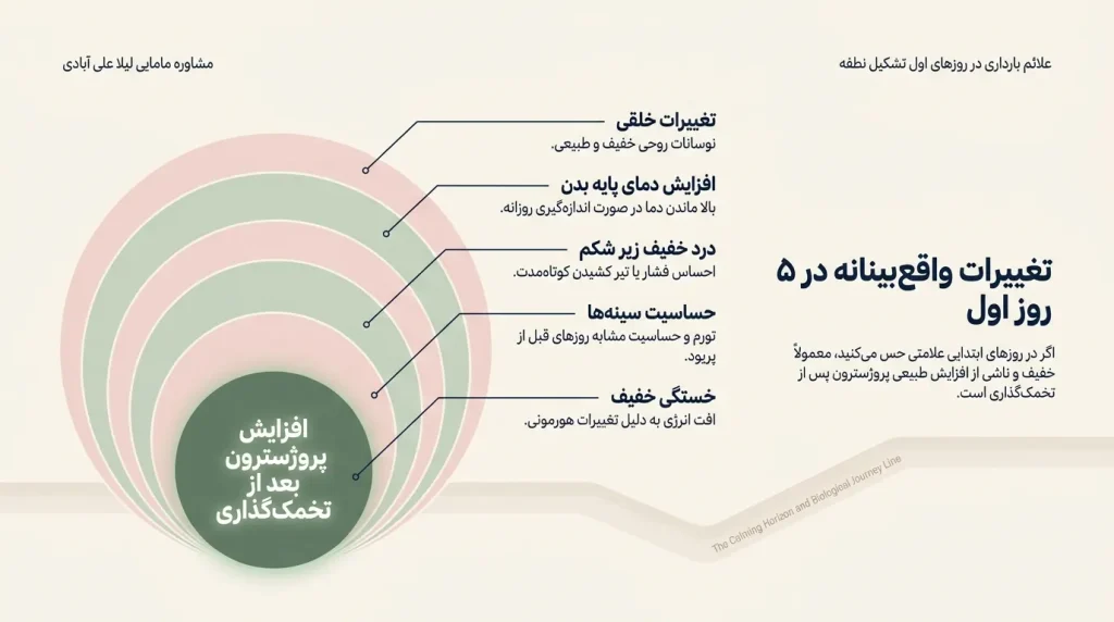 علائم بارداری در روزهای اول تشکیل نطفه