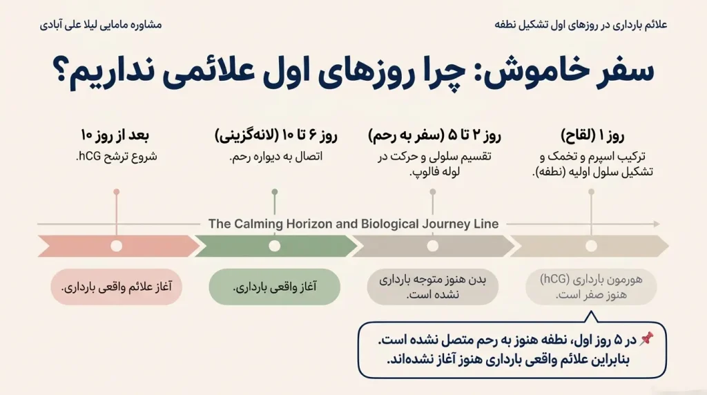 علائم بارداری در روزهای اول تشکیل نطفه