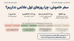 علائم بارداری در روزهای اول تشکیل نطفه