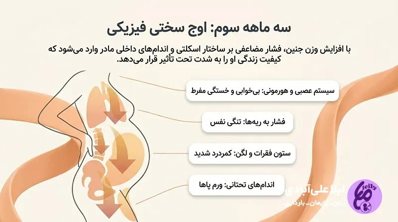 کدام ماه بارداری خطرناک است